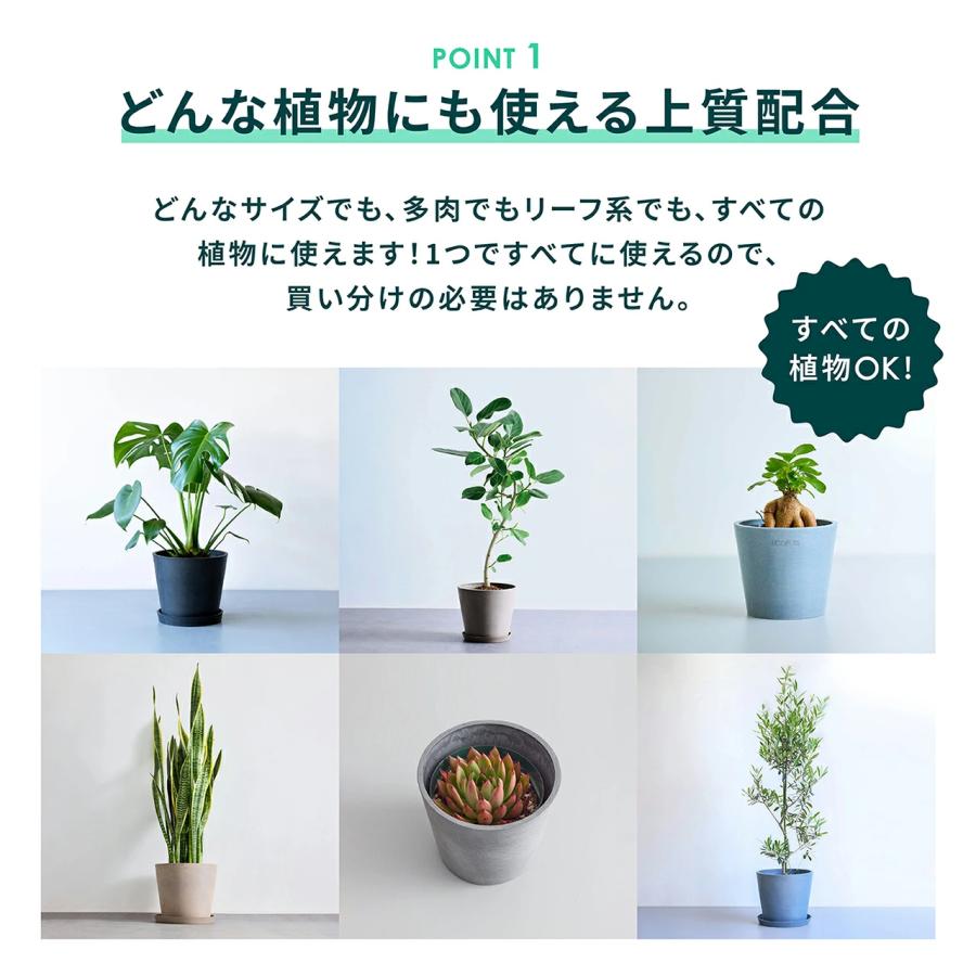 AND PLANTS（アンドプランツ） 【3月1日迄爆買WEEK！】観葉植物の土 2L