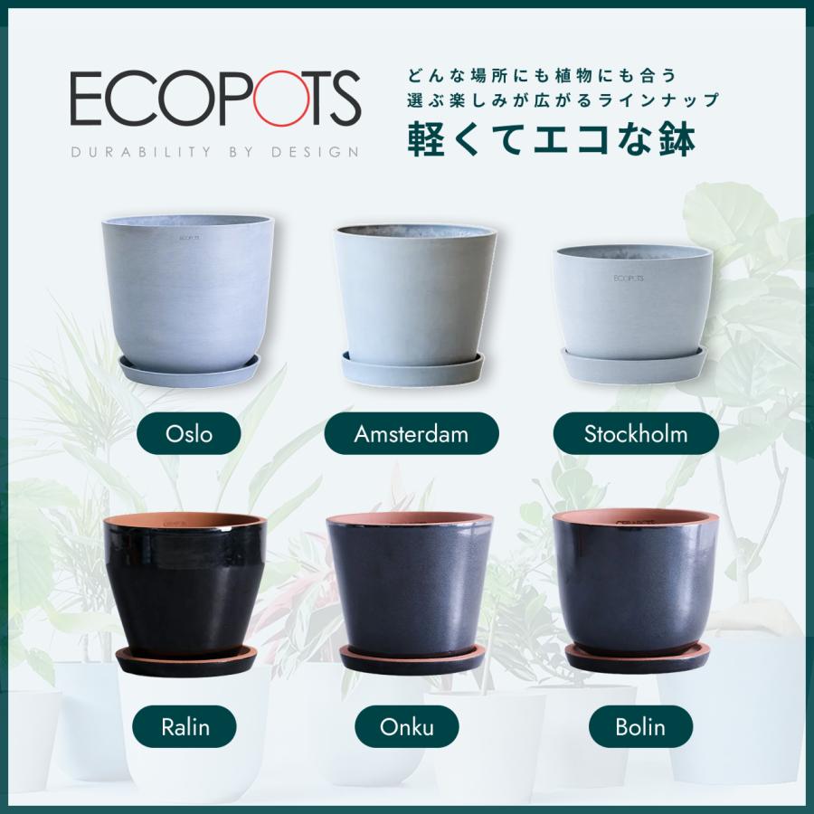 AND PLANTS（アンドプランツ） 植木鉢 鉢 ecopots Amsterdam 10号
