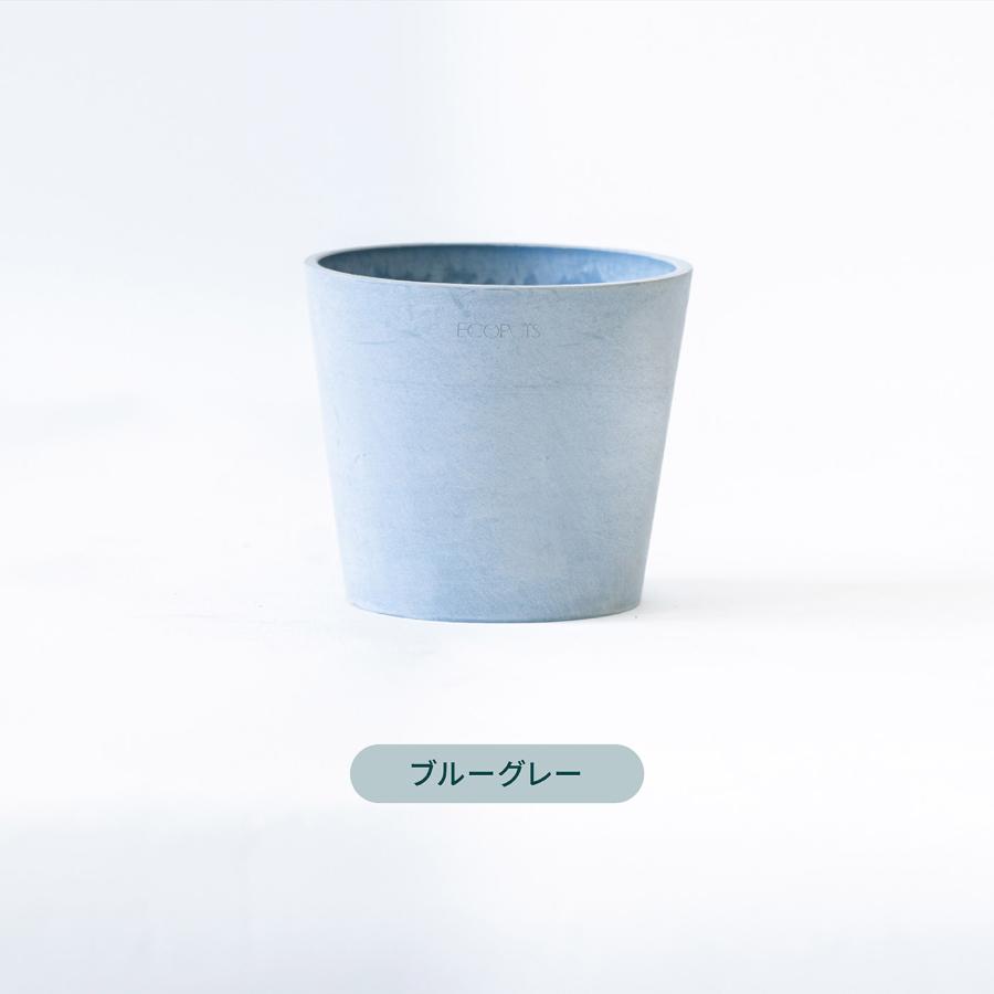 AND PLANTS（アンドプランツ） 【3月1日迄爆買WEEK！】植木鉢 鉢