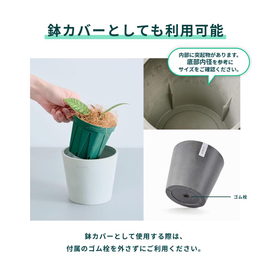 AND PLANTS（アンドプランツ） 植木鉢 鉢 ecopots Amsterdam 8号