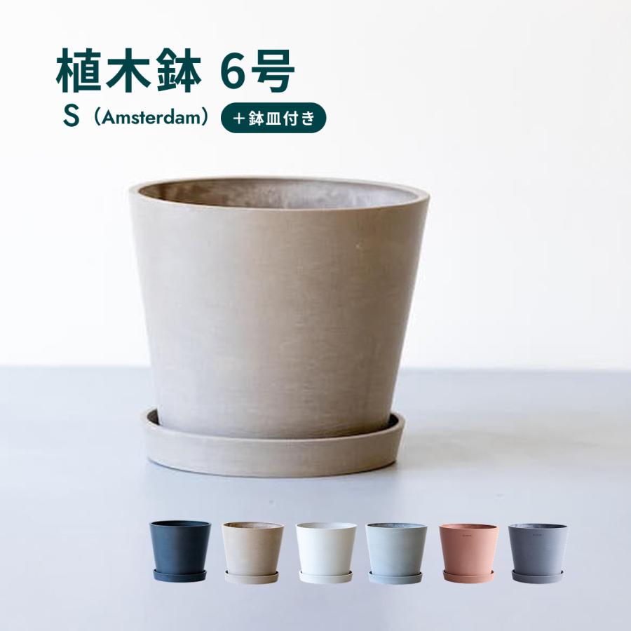 AND PLANTS（アンドプランツ） 植木鉢 鉢 ecopots Amsterdam 6号
