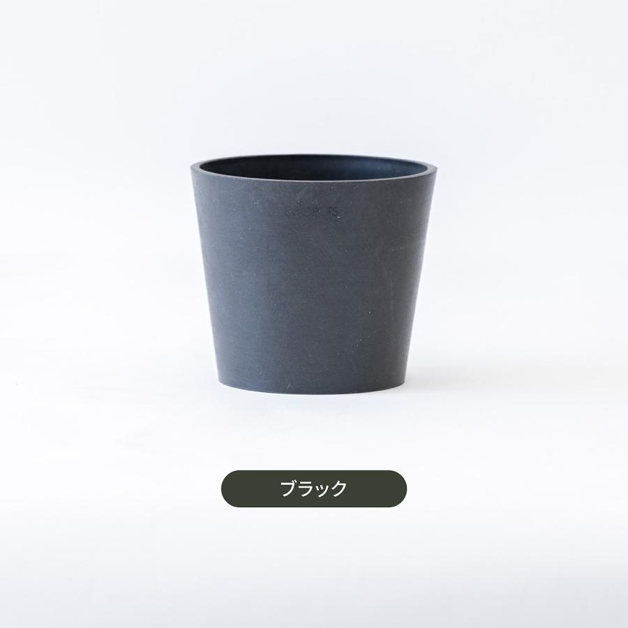 AND PLANTS（アンドプランツ） 植木鉢 鉢 ecopots Amsterdam 6号