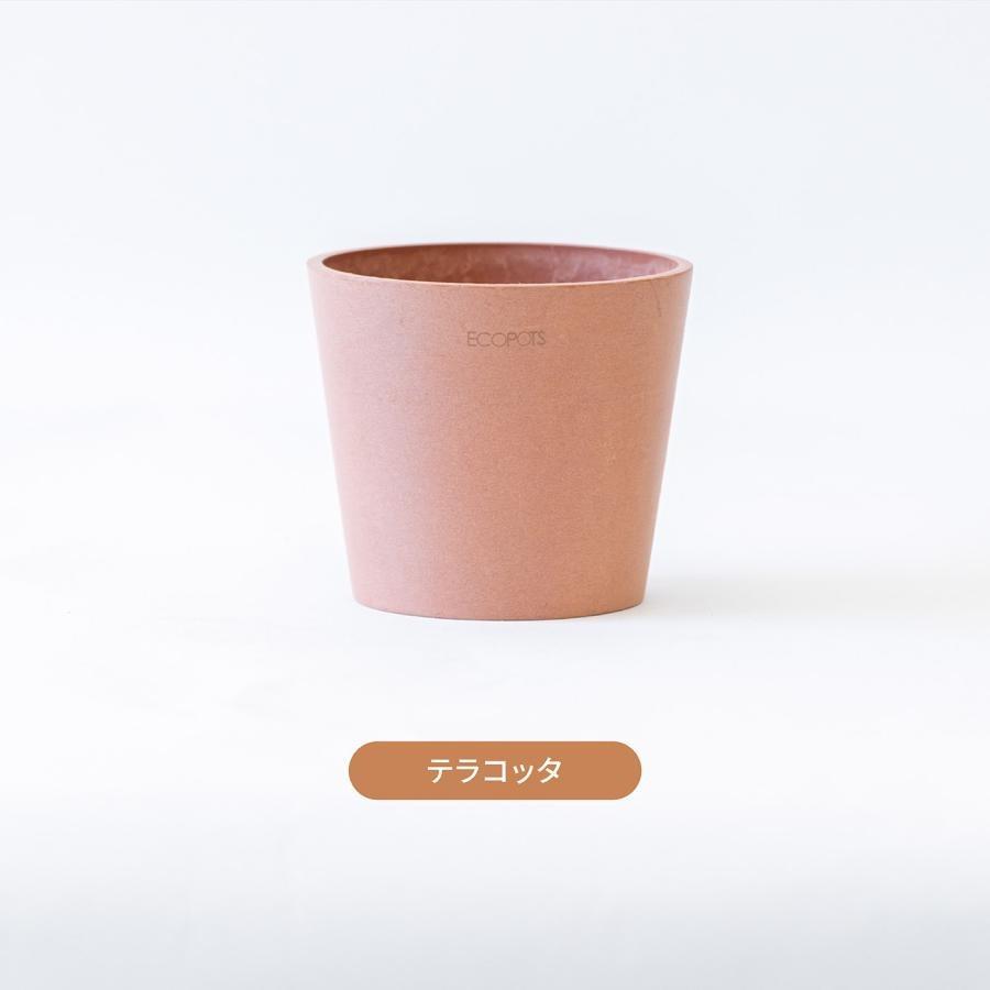 【在庫セール】ECOPOTS Amsterdam エコポッツ AND PLANT 植木鉢 M ECOPOTS Amsterdam | 観葉植物の通販 AND PLANTS (アンド