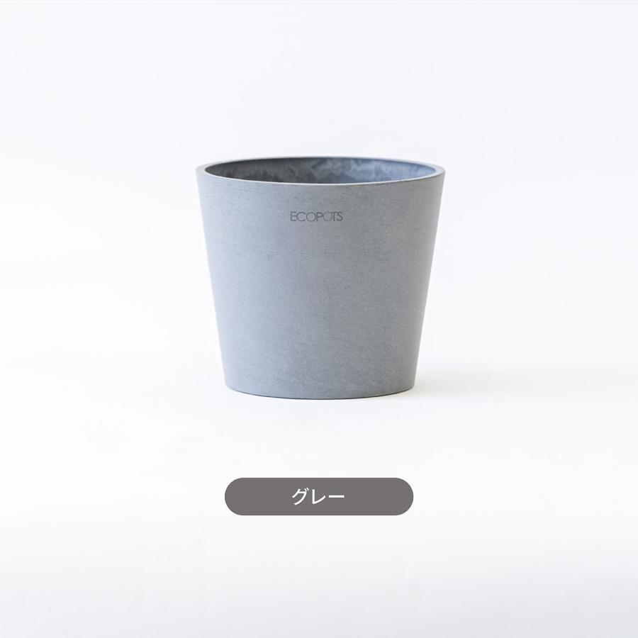 - ヨドバシ.com 黒 S6号×1、M8号×2 植木鉢セット ecopots アンドプランツ ECOPOTS L 植木鉢 PLANTS AND 鉢・プランター