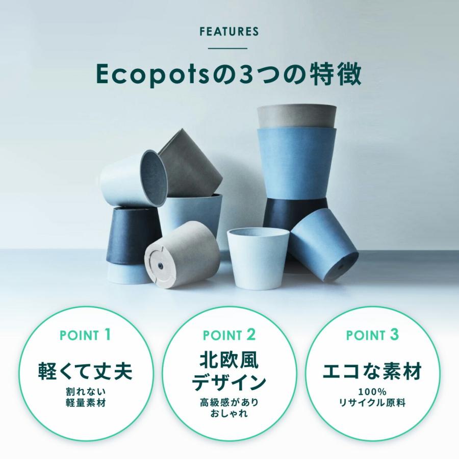 AND PLANTS（アンドプランツ） 植木鉢 鉢 ecopots Amsterdam 6号