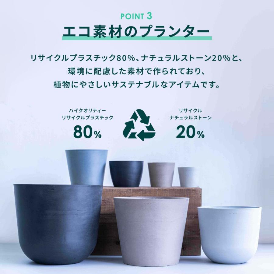 AND PLANTS（アンドプランツ） 植木鉢 鉢 ecopots Amsterdam 6号