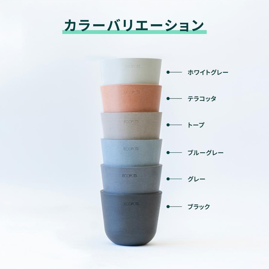 AND PLANTS（アンドプランツ） 植木鉢 鉢 ecopots Amsterdam 6号
