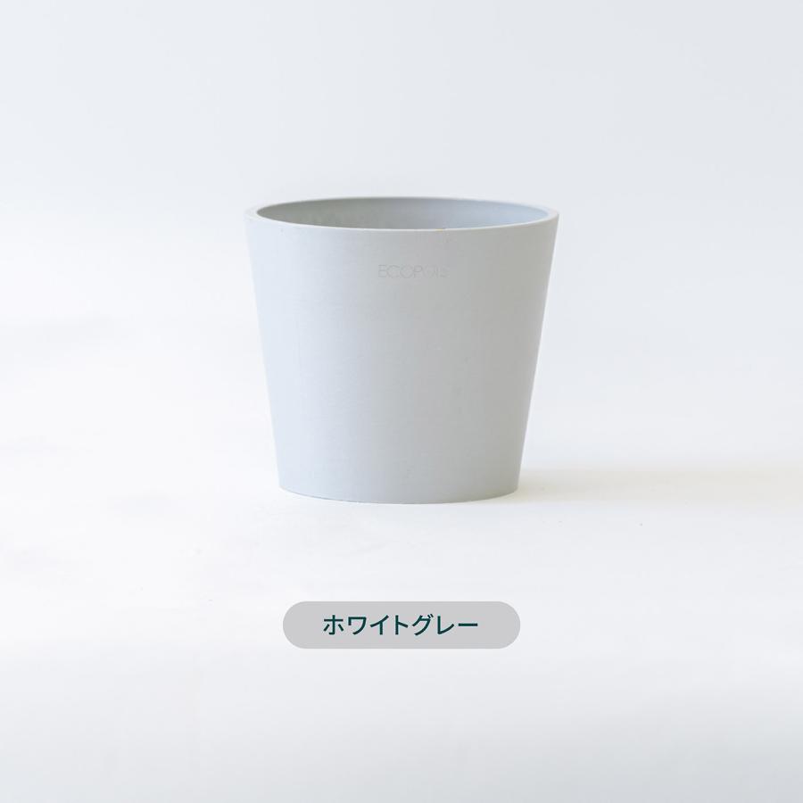 AND PLANTS（アンドプランツ） 鉢カバー 鉢 ecopots Amsterdam 4号