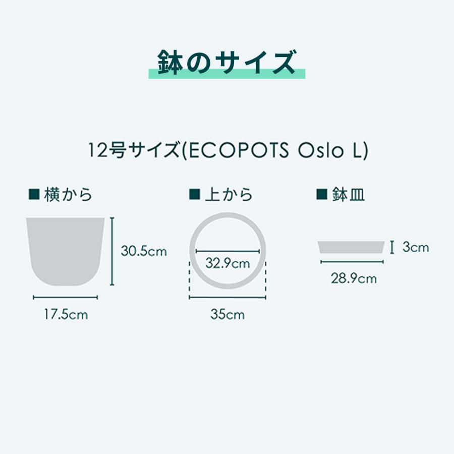 北欧ecopods Oslo 12号 受け皿付き 大型鉢 鉢カバー モルタル風 Amazon.co.jp: ECOPOTS Oslo 植木鉢 12号 おしゃれ 軽い 鉢 鉢カバー