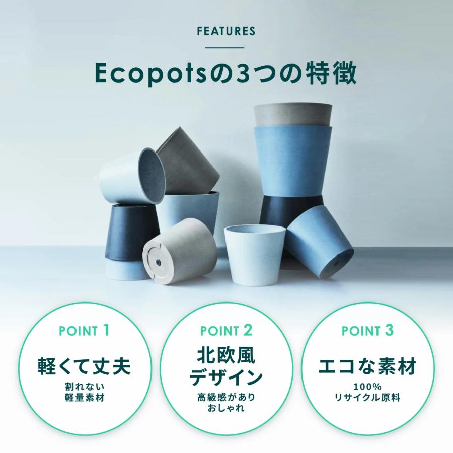 AND PLANTS（アンドプランツ） 植木鉢 鉢 ecopots Oslo 12号 おしゃれ