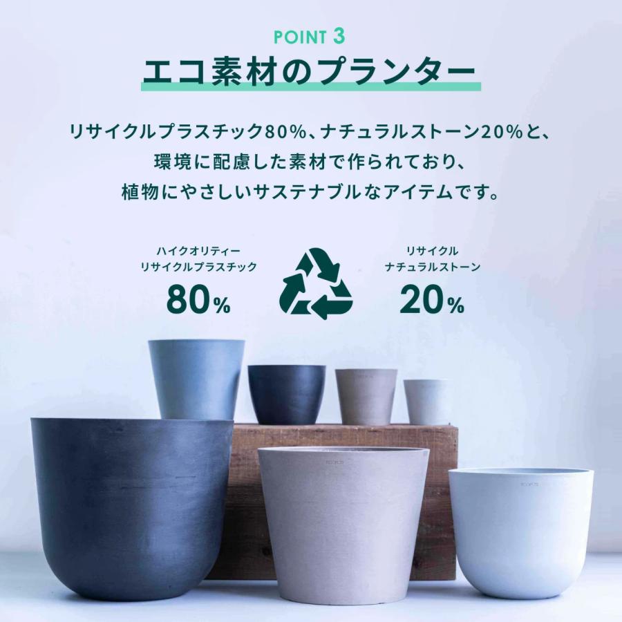 AND PLANTS（アンドプランツ） 植木鉢 鉢 ecopots Oslo 12号 おしゃれ