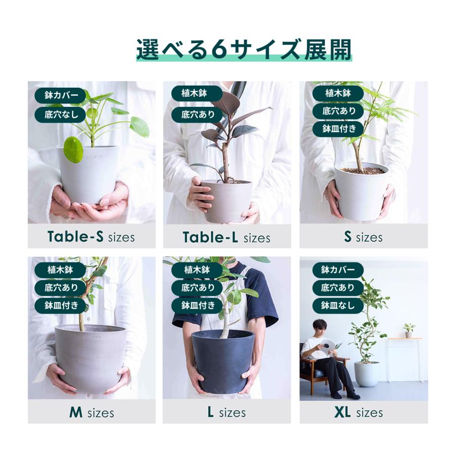 AND PLANTS（アンドプランツ） 植木鉢 鉢 ecopots Oslo 12号 おしゃれ