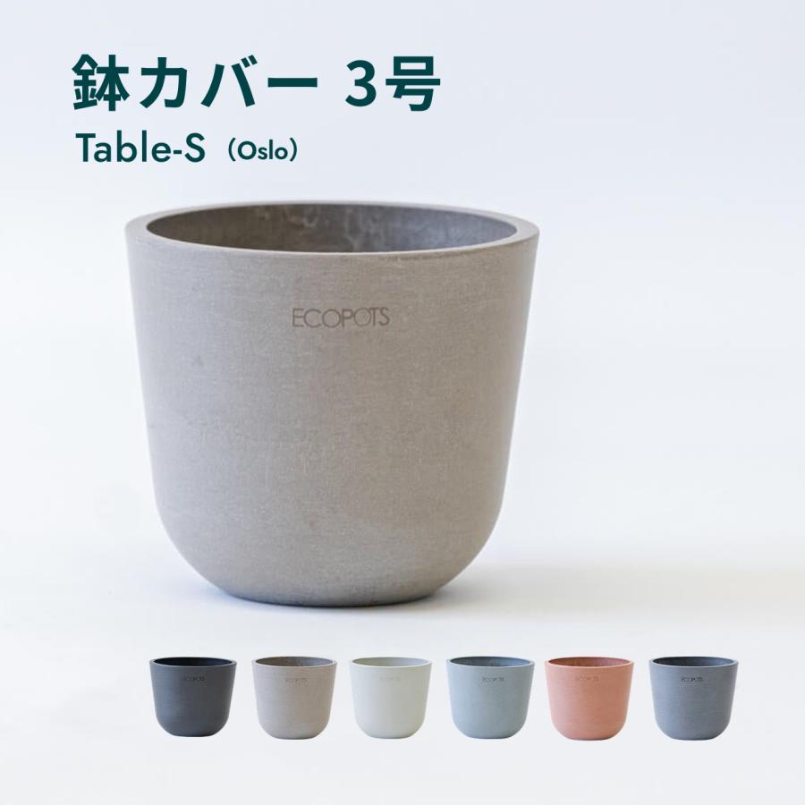 AND PLANTS（アンドプランツ） 鉢カバー 鉢 ecopots Oslo 3号