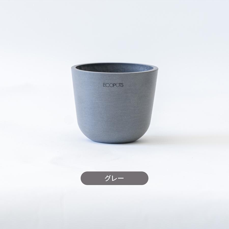 AND PLANTS（アンドプランツ） 鉢カバー 鉢 ecopots Oslo 3号