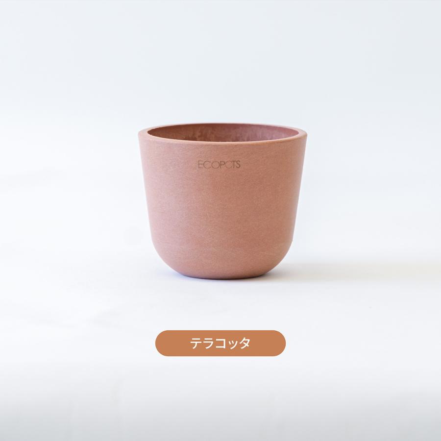 AND PLANTS（アンドプランツ） 鉢カバー 鉢 ecopots Oslo 3号
