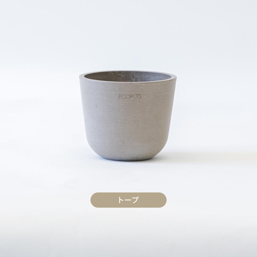 AND PLANTS（アンドプランツ） 鉢カバー 鉢 ecopots Oslo 3号