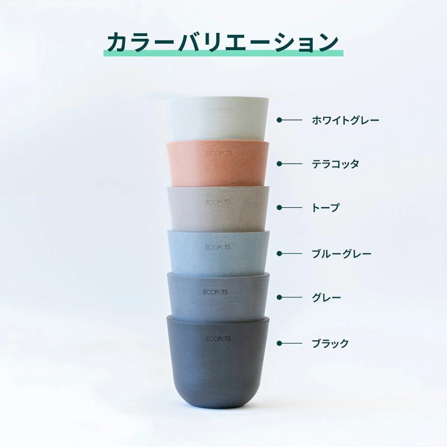 AND PLANTS（アンドプランツ） 鉢カバー 鉢 ecopots Oslo 3号