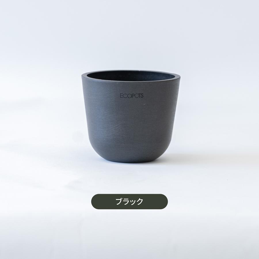 AND PLANTS（アンドプランツ） 鉢カバー 鉢 ecopots Oslo 3号