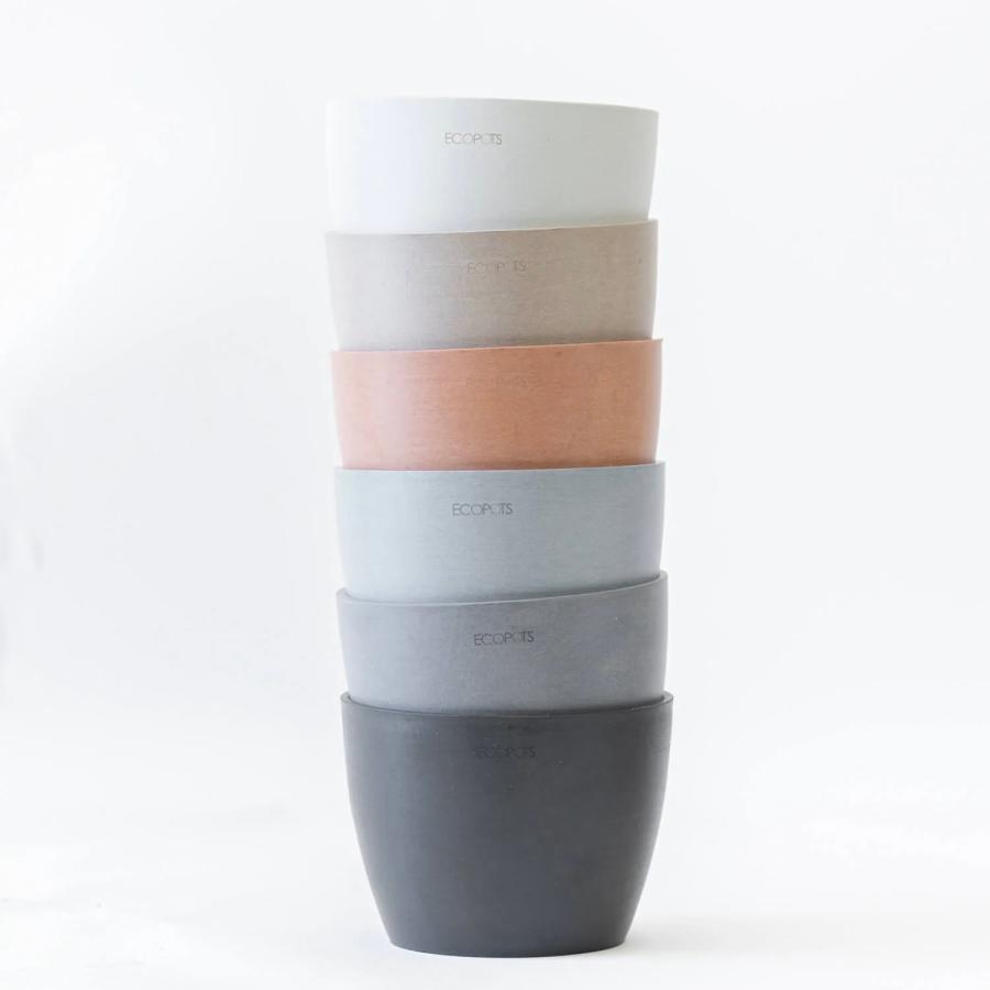 AND PLANTS（アンドプランツ） 植木鉢 鉢 ecopots Stockholm 5号