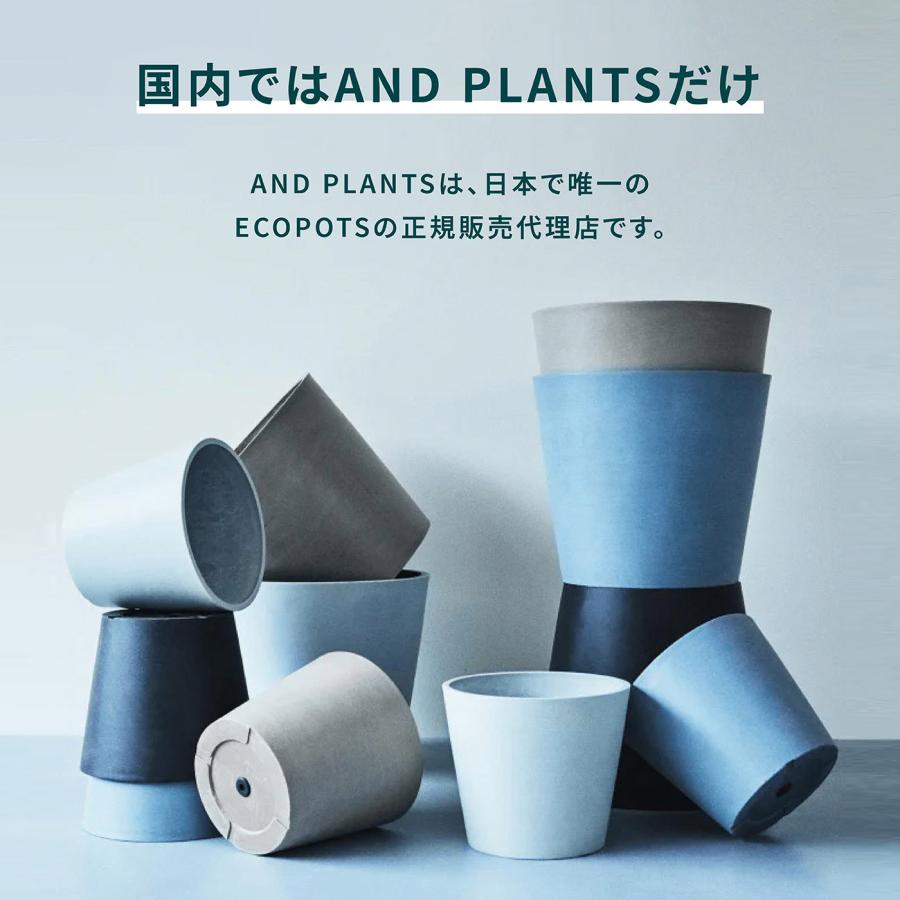 AND PLANTS（アンドプランツ） キャスター 付き 鉢皿 10号 エコポッツ