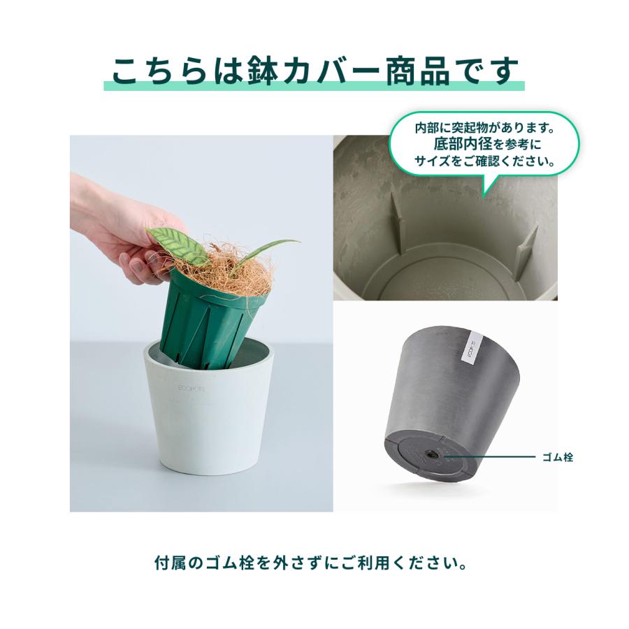 AND PLANTS（アンドプランツ） 鉢カバー 鉢 ecopots Amsterdam 12号