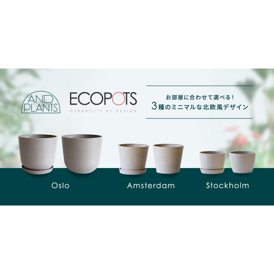 鉢カバー 鉢 ecopots Amsterdam 12号 おしゃれ 北欧 鉢カバー プランター 軽い インテリア 鉢皿 付き 植物 観葉植物_10