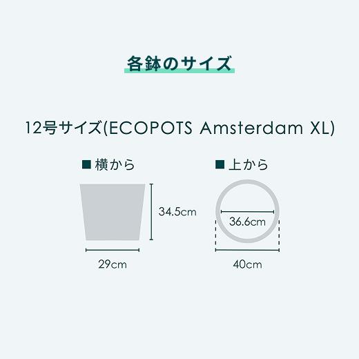 鉢カバー 鉢 ecopots Amsterdam 12号 おしゃれ 北欧 鉢カバー プランター 軽い インテリア 鉢皿 付き 植物 観葉植物_13