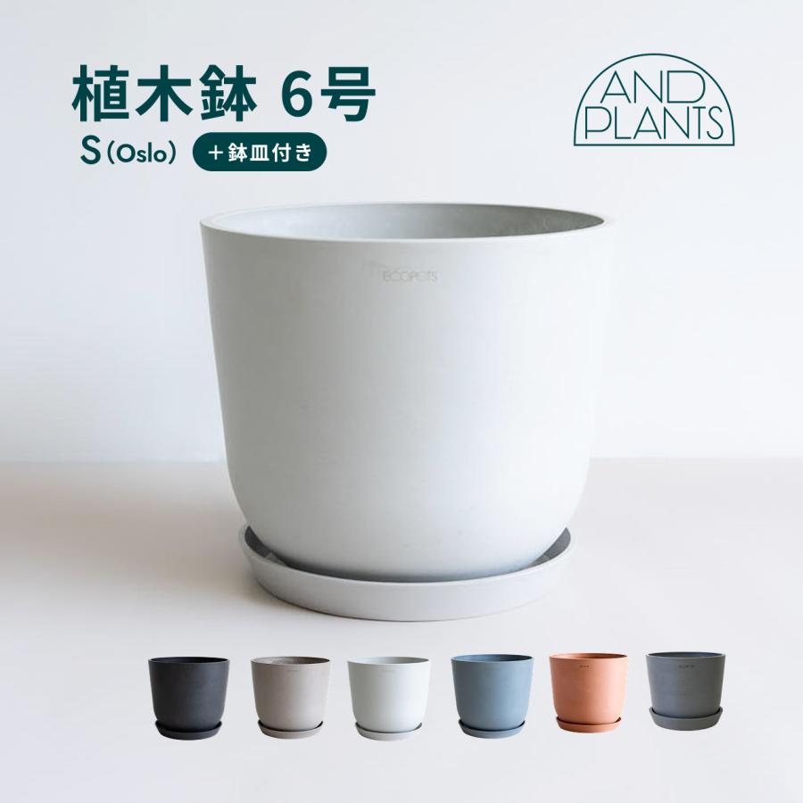 AND PLANTS（アンドプランツ） 植木鉢 鉢 ecopots Oslo 6号 おしゃれ