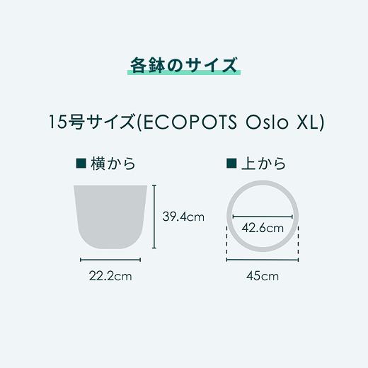 AND PLANTS（アンドプランツ） 鉢カバー 鉢 おしゃれ プランター 大型