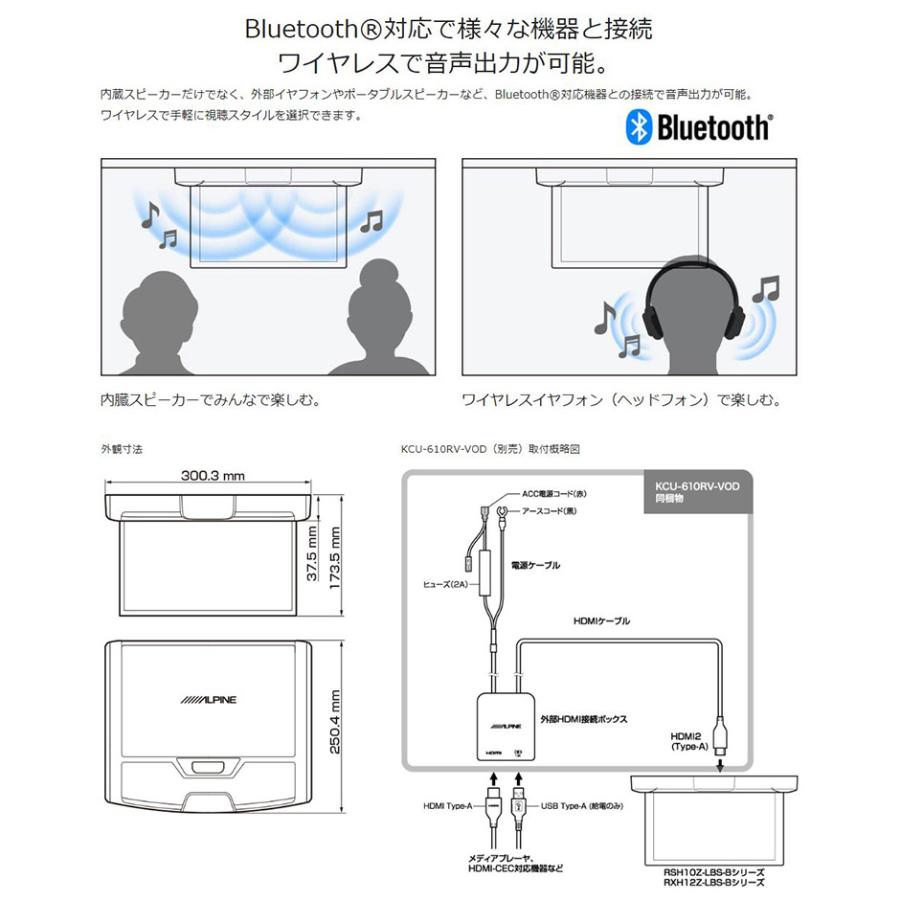 ALPINE（アルパイン） RSH10Z-LBS-B ALPINE 10.1型WSVGA クリア