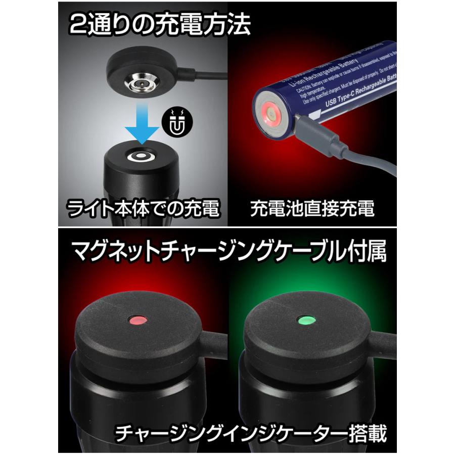 Gシリーズ GF-216RG GENTOS ジェントス LEDフラッシュライト