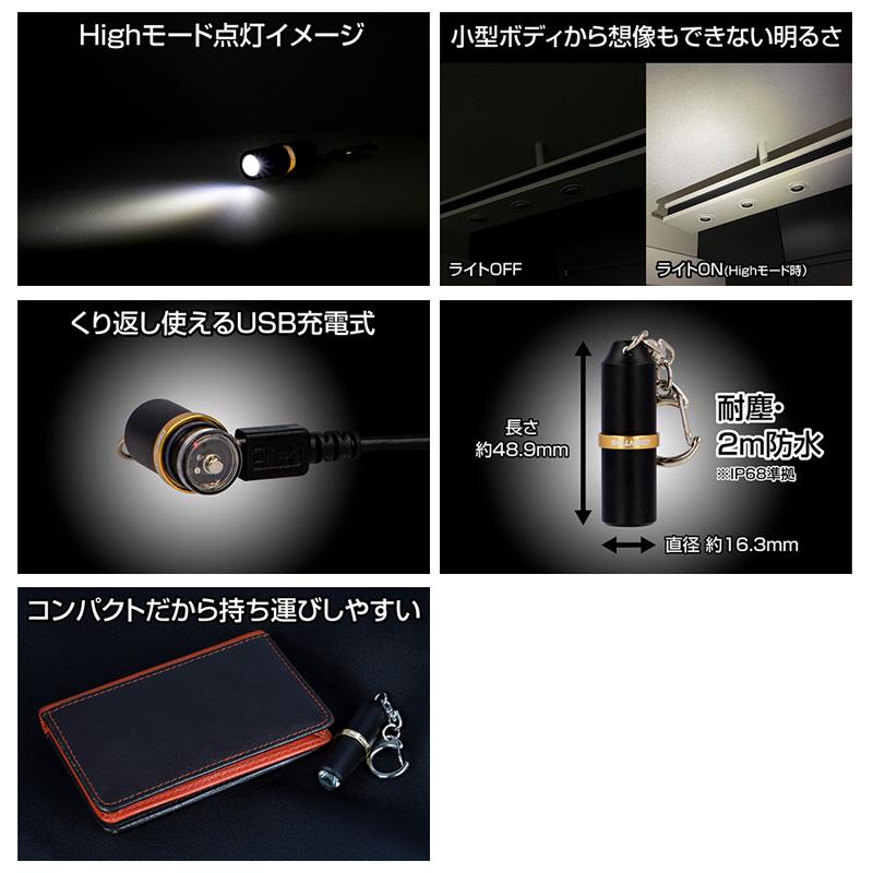 GENTOS（ジェントス） Y1R GENTOS 高出力充電式LEDキーライト 220