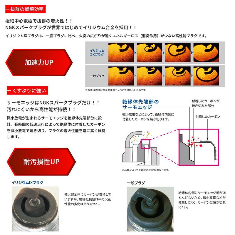 中国清時代画家 朱承 肉筆保証 真作