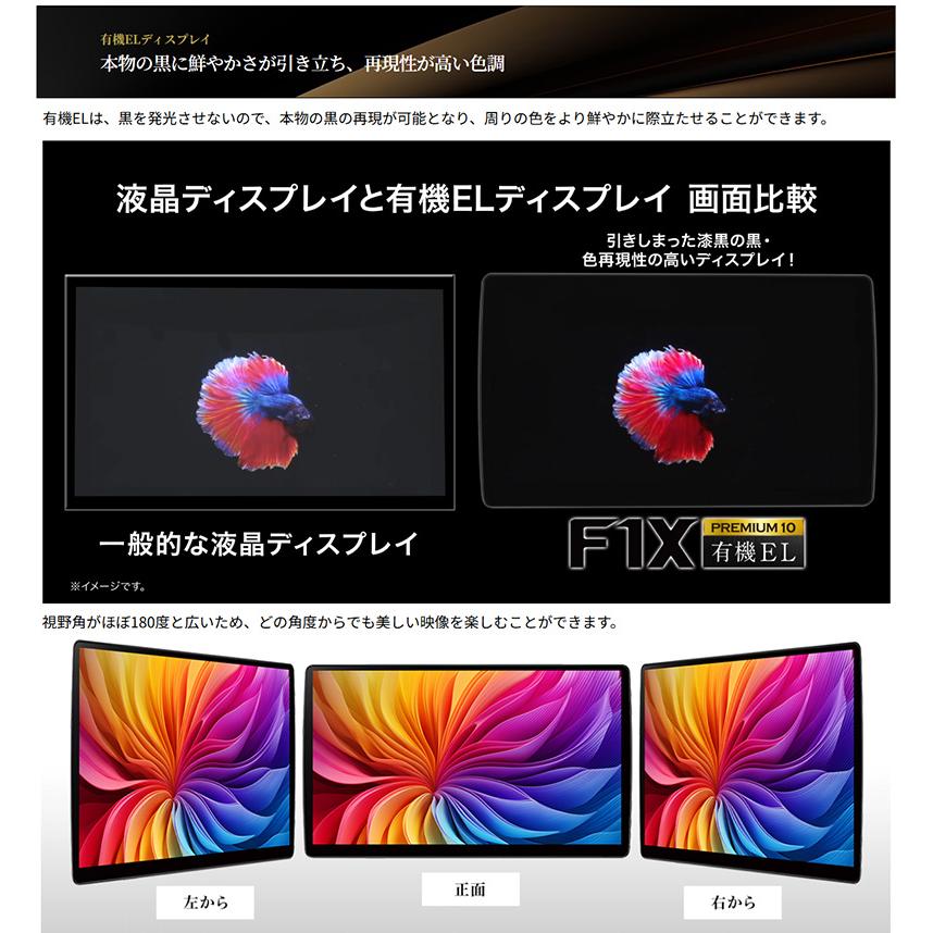 Panasonic（パナソニック） CN-F1X10C1DA Panasonic Strada ストラーダ