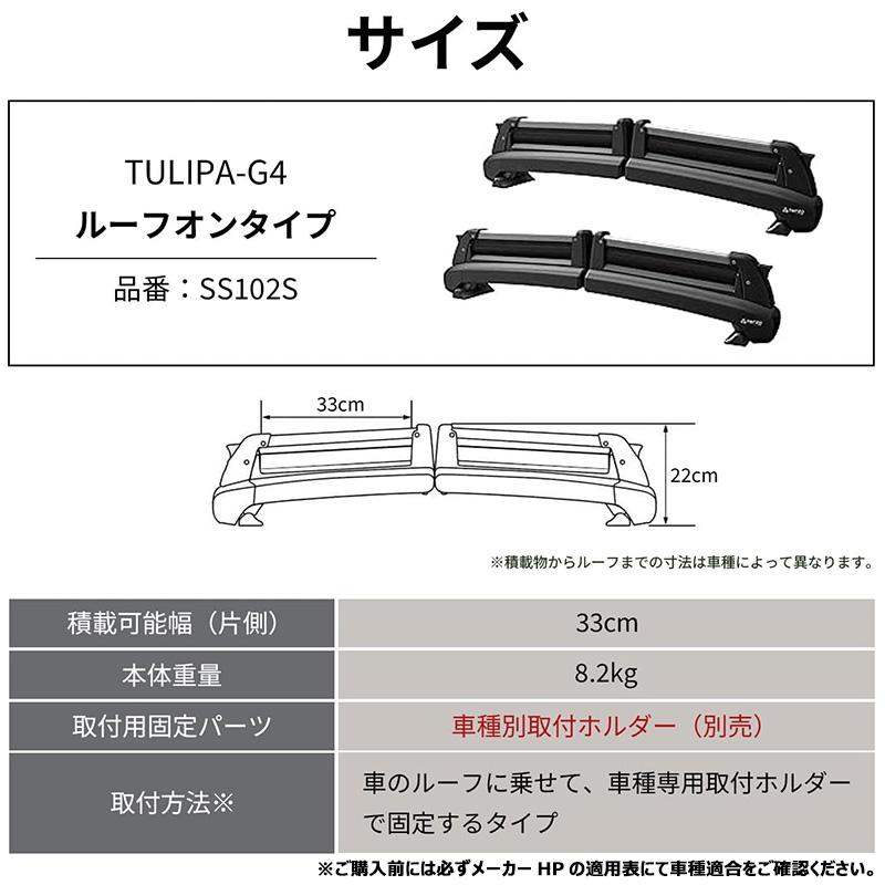 TERZO SS102S テルッツオ テルッツォ チュリパ TULIPA-G4 スキー TERZO SS102S テルッツオ テルッツォ チュリパ TULIPA-G4 スキー