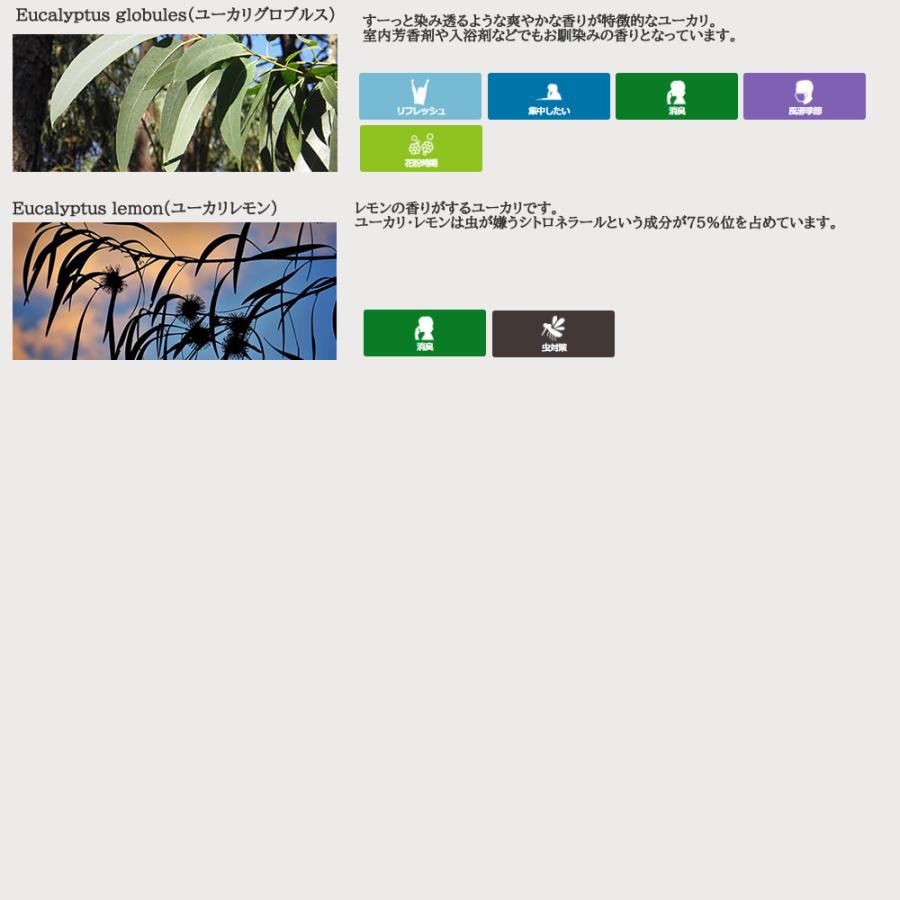 エッセンシャルオイルセット 3本 エッセンシャルオイル セット 5ml×5本セット アロマプレミアムセット3