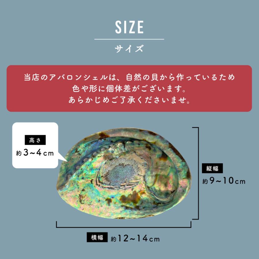 浄化用香皿 アバロンシェル サイズ 約10〜14cm 片面磨き ( ホワイト