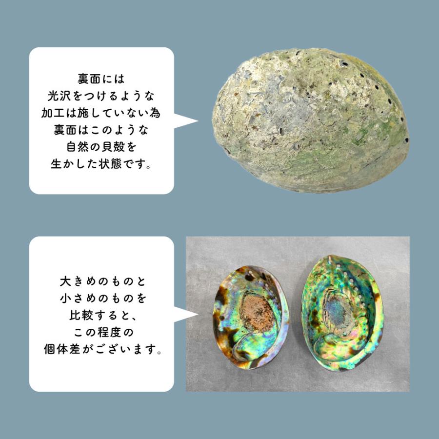 「アバロン」グリーンアバロン アバロンシェル 1255g 815g 浄化用香皿 アバロンシェル サイズ 約10〜14cm 片面磨き ( ホワイト