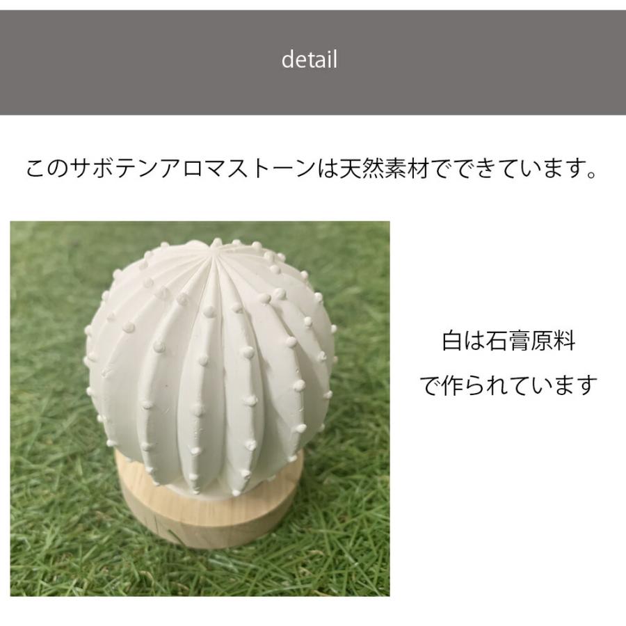 &SH おしゃれ シンプル アロマストーンセット サボテン オーガニック
