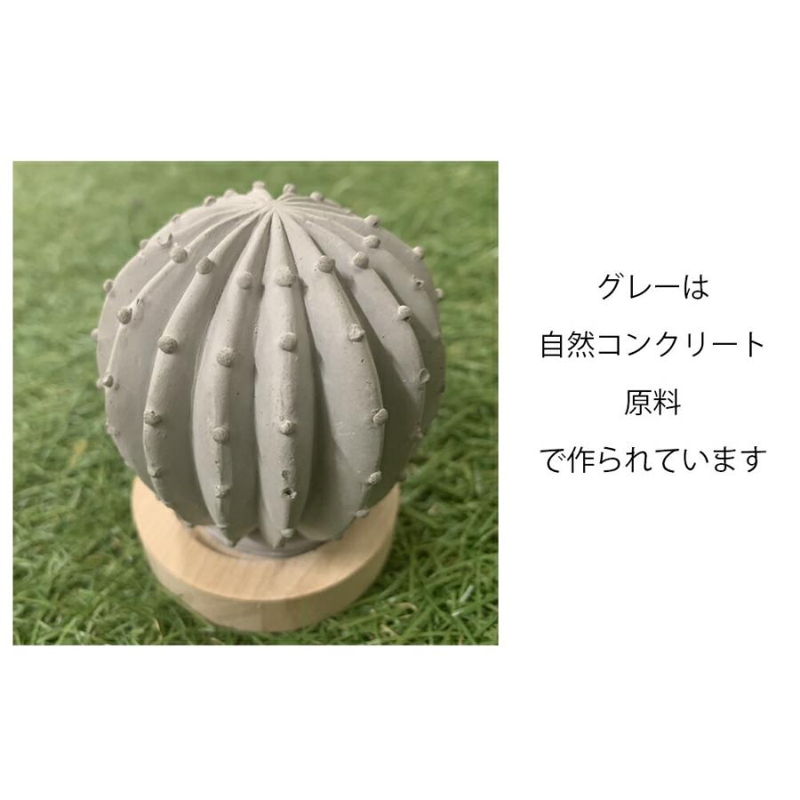 &SH おしゃれ シンプル アロマストーンセット サボテン オーガニック