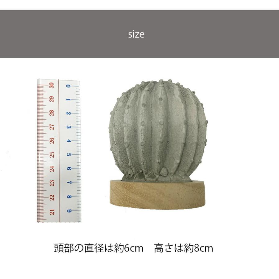 アロマストーンモンステラ&サボテンセット サボテン＆鉢 アロマストーンセット C - メルカリ