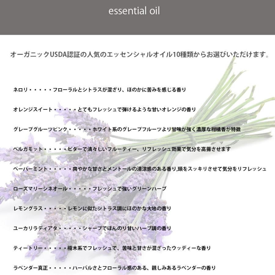 &SH おしゃれ シンプル アロマストーンセット サボテン オーガニック