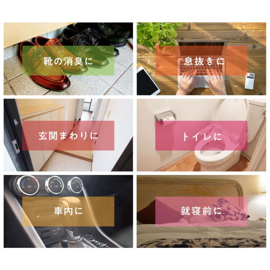 &SH 選べる10種 3本セット フルーツ アロマスプレー 100ml 3本
