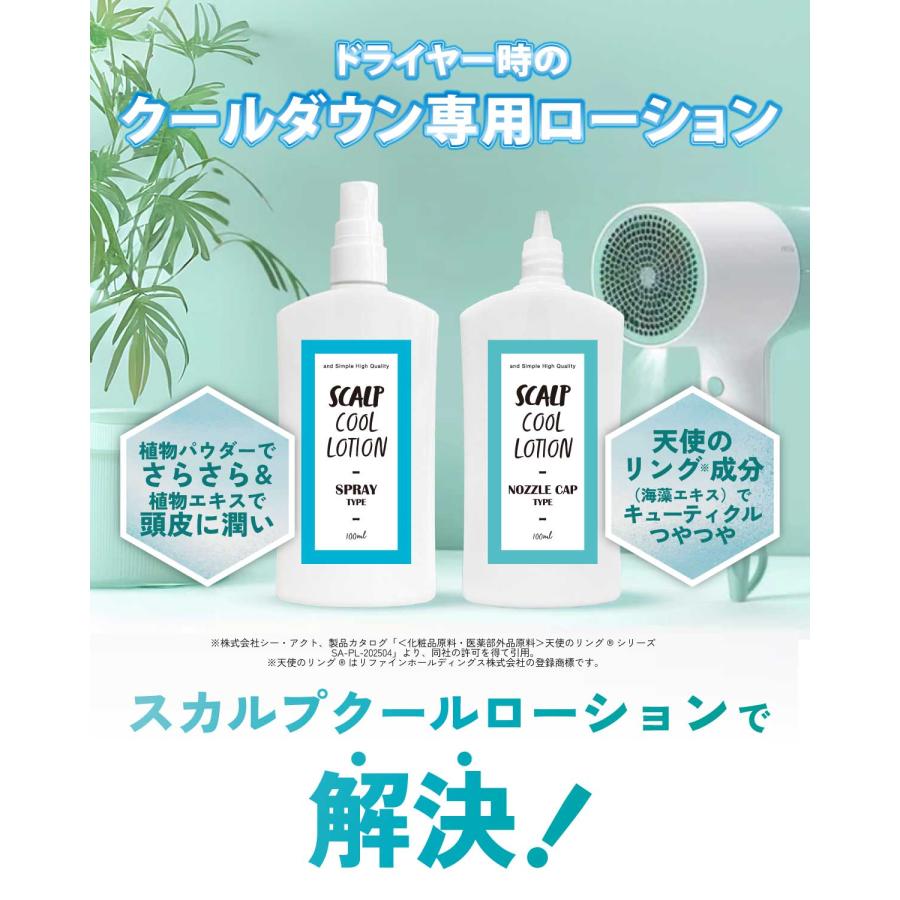 アンドエスエイチ スカルプ クール ローション 100ml &SH / 暑いヘア