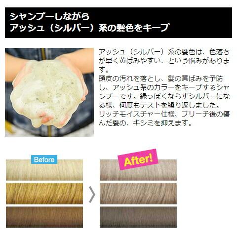 ROYD カラーシャンプー シルバー 300ml 2本セット ブライセス ROYD カラーシャンプー シルバー 300ml 2本セット ブライセス