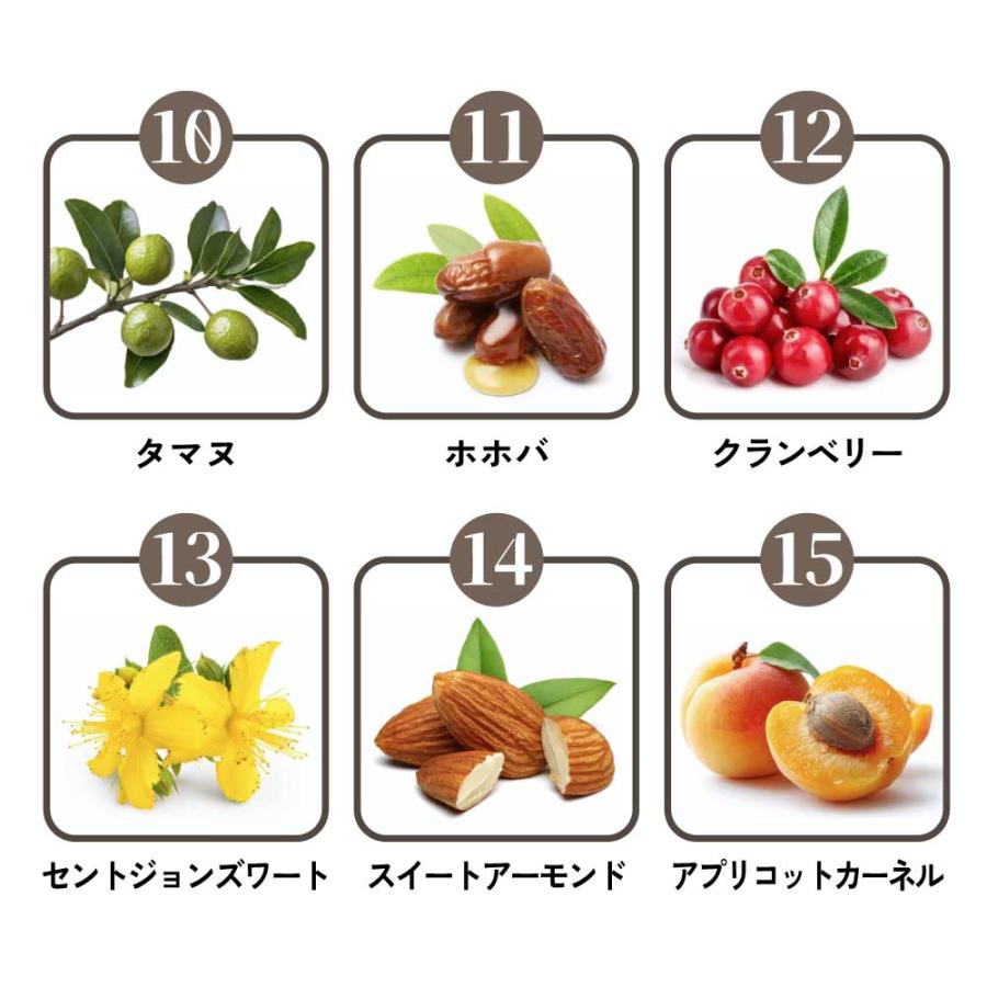 オーガニック タマヌオイル 100ml ( 50ml ×2本) 未精製 ) &sh キャリア