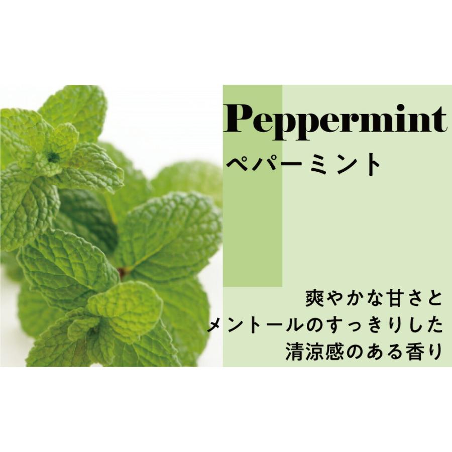 &SH 植物ベース アロマ ロールオンボトル 10ml ペパーミント ( ハッカ