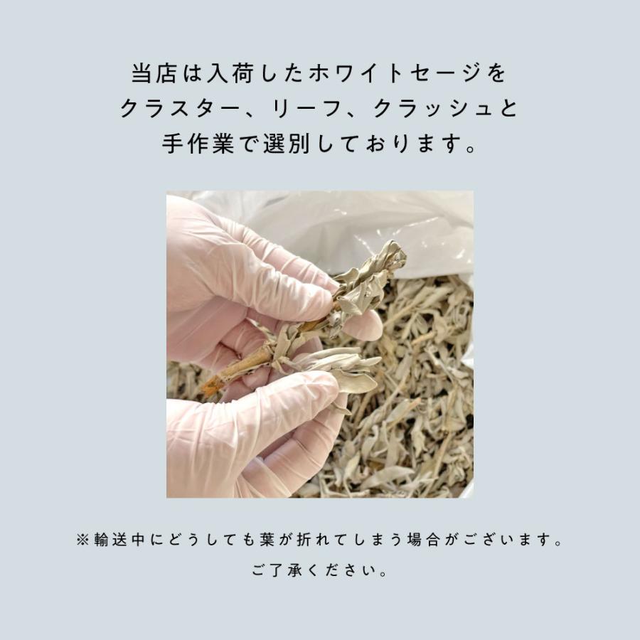 ホワイトセージ カリフォルニア産 直輸入 無農薬 1000g (100g×10 セット)(クラスター ＆ リーフ ＆ クラッシュMIX) / &SH 浄化用 +lt3+｜andsh｜04