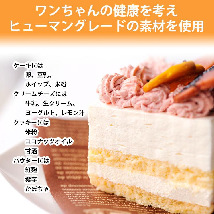 犬用ケーキ 誕生日 無添加 Mini デコレーションケーキ 無添加 無着色 グルテンフリー 名入れ 手作り ドッグフード 誕生日 記念日 お祝い ごほうび Andycafe Dm0016 Andy Cafe Yahoo 店 通販 Yahoo ショッピング