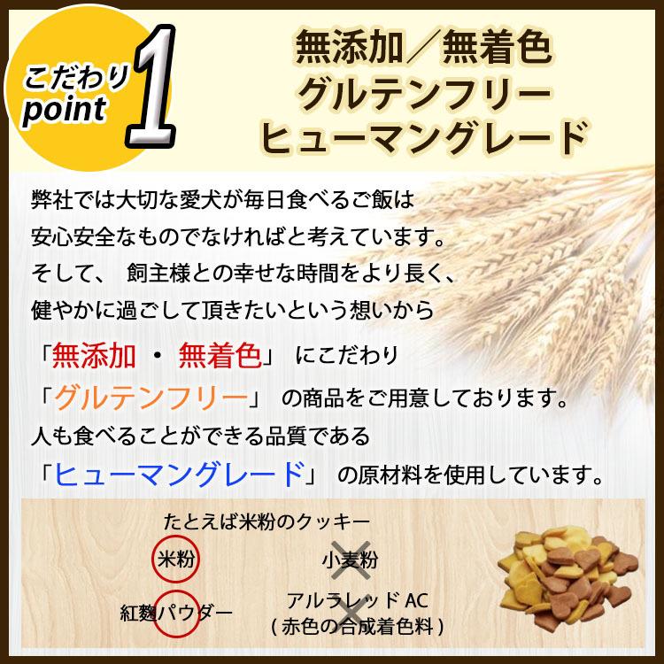 犬用ケーキ バースデー いちご  レアチーズケーキ 誕生日 無添加 無着色 ドッグケーキ グルテンフリー 名入れ 手作り 犬 ケーキ お祝い｜andycafe｜04